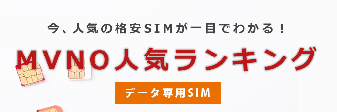 データ専用SIMランキング