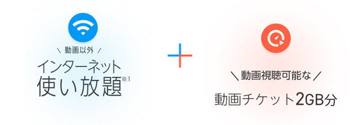 動画視聴以外ならデータ使い放題