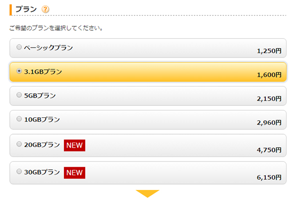 プランやSIMサイズ、オプションを選択