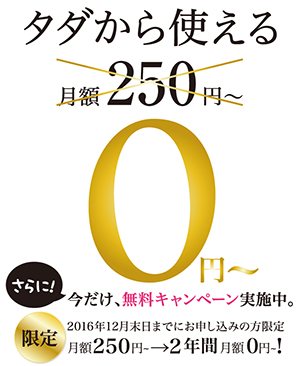 スマート250プランの無料キャンペーン
