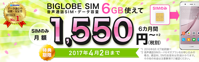 BIGLOBE SIM 600円✕6カ月間値引きキャンペーン